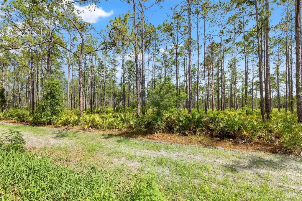 9307 Poplar Creek Court Tampa FL 33647