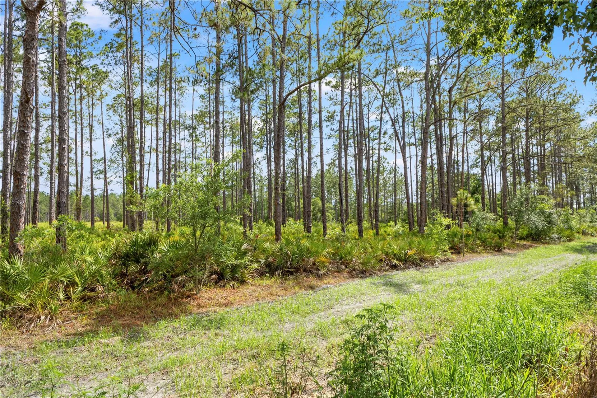 9307 Poplar Creek Court Tampa FL 33647