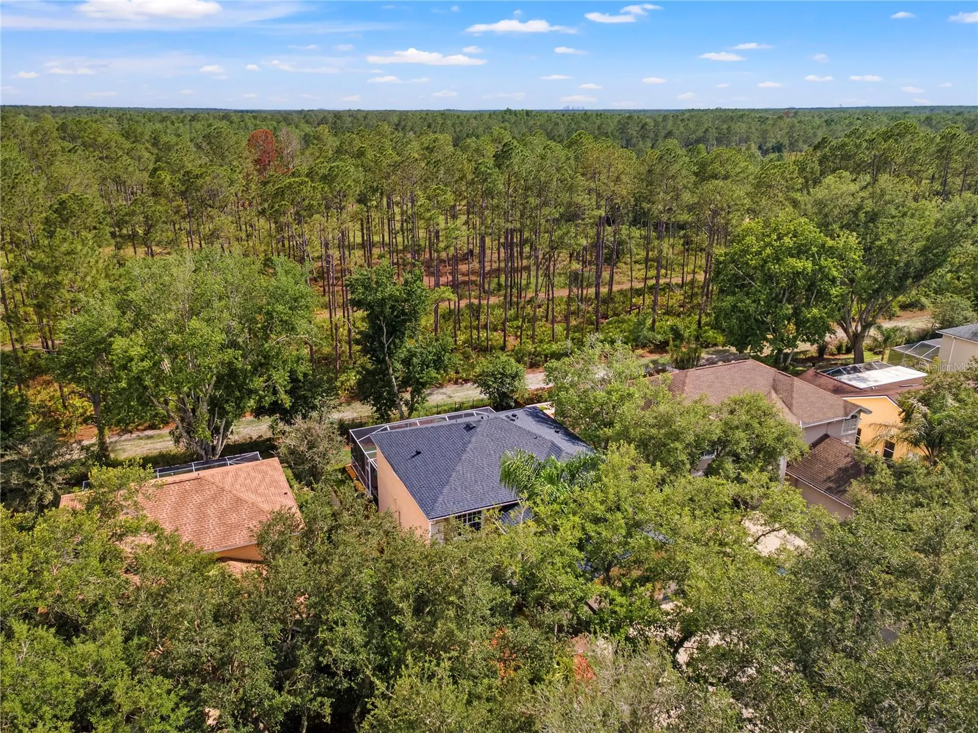 9307 Poplar Creek Court Tampa FL 33647