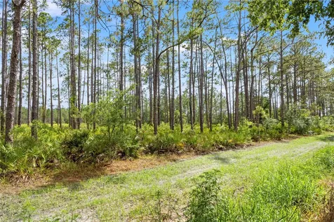 9307 Poplar Creek Court Tampa FL 33647