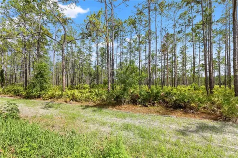 9307 Poplar Creek Court Tampa FL 33647