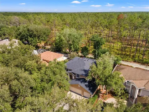 9307 Poplar Creek Court Tampa FL 33647