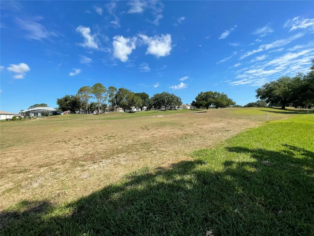 24345 Amberleaf Court Leesburg FL 34748