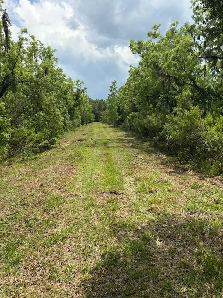 459 County Road 2006 E Bunnell FL 32110