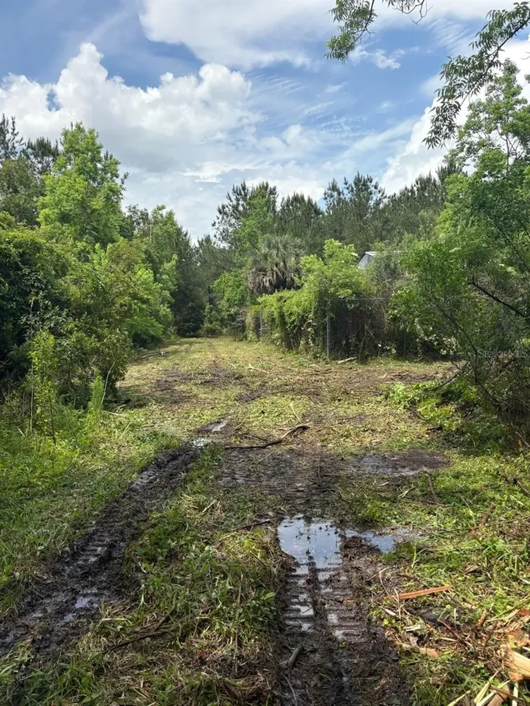 459 County Road 2006 E Bunnell FL 32110
