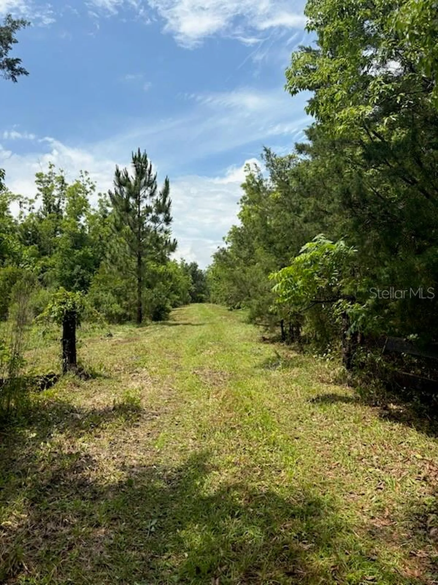 459 County Road 2006 E Bunnell FL 32110