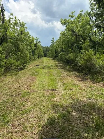 459 County Road 2006 E Bunnell FL 32110
