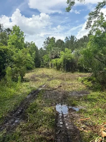 459 County Road 2006 E Bunnell FL 32110