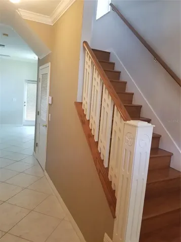 3043 Pointeview Drive Tampa FL 33611