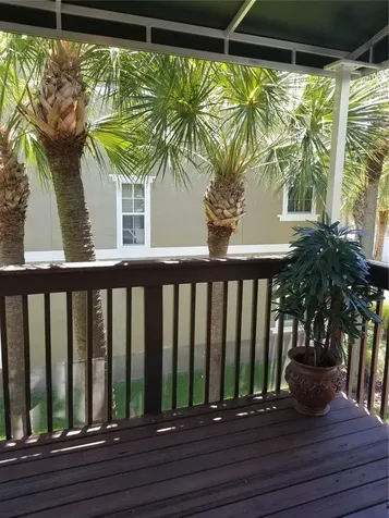 3043 Pointeview Drive Tampa FL 33611
