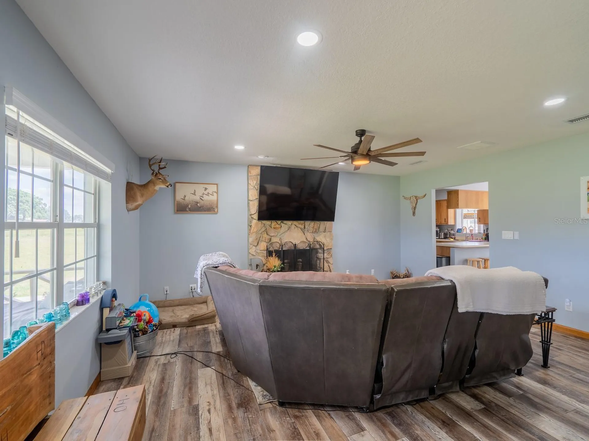 4381 NE 105th Place Anthony FL 32617