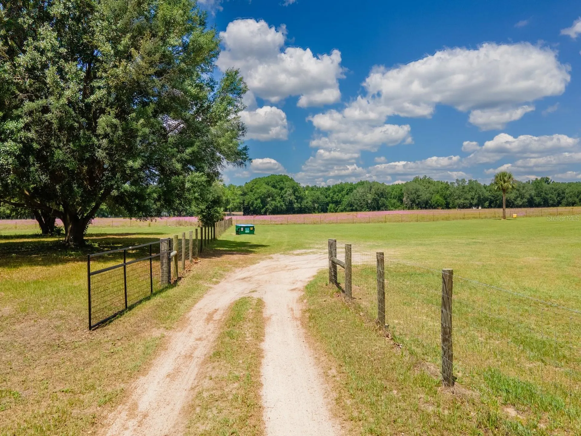 4381 NE 105th Place Anthony FL 32617