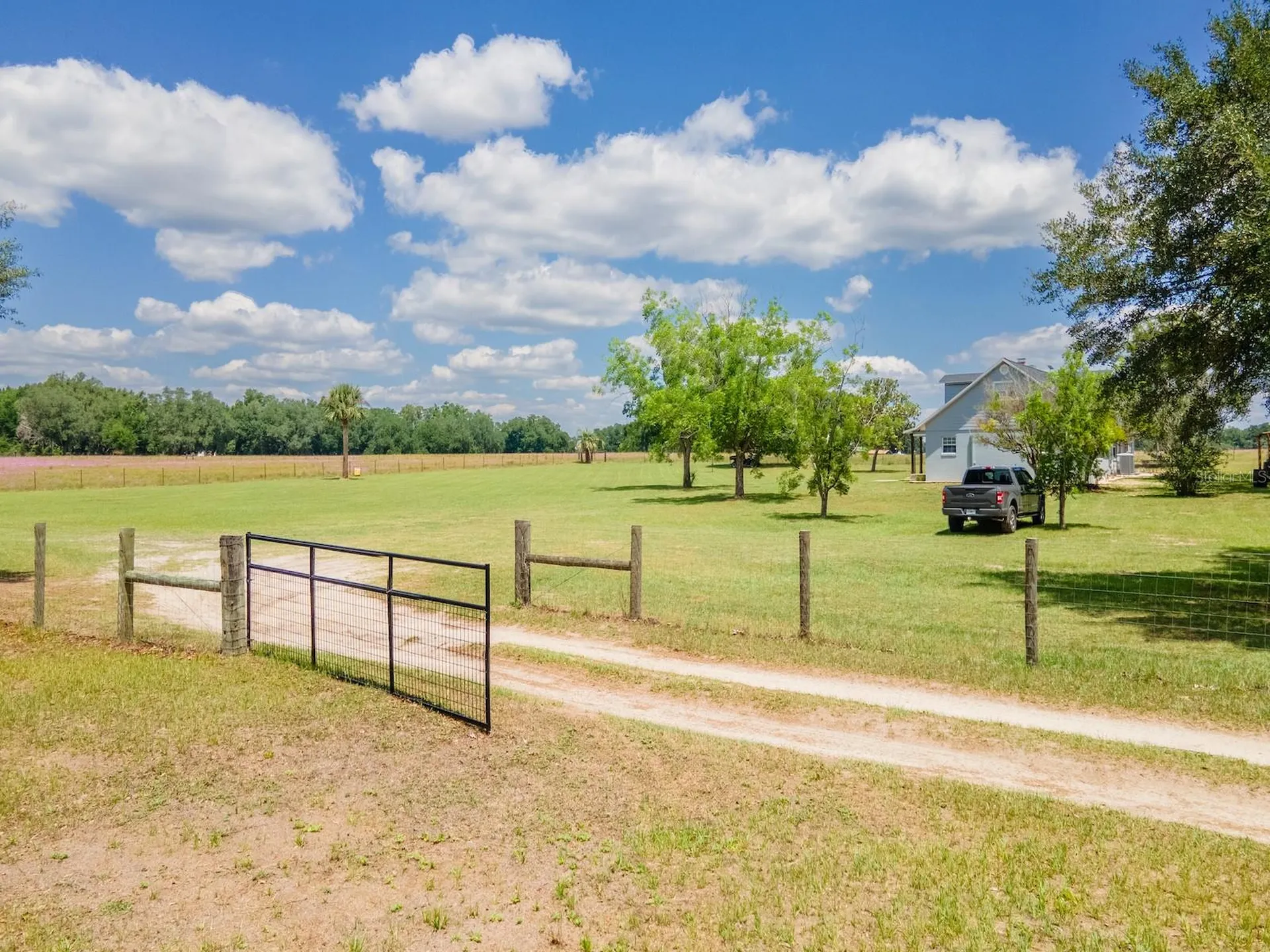 4381 NE 105th Place Anthony FL 32617