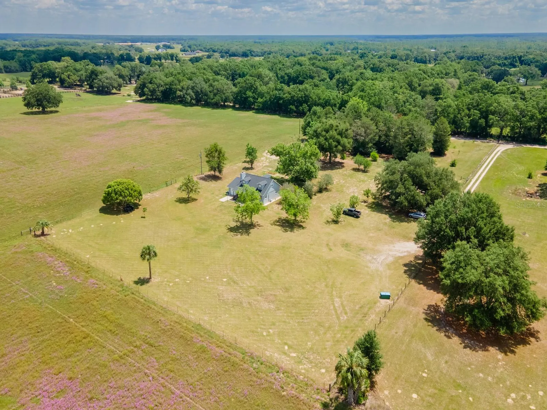 4381 NE 105th Place Anthony FL 32617