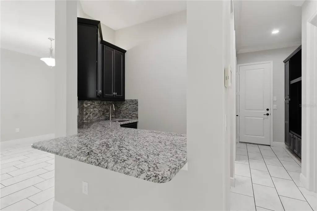 30271 Southern Wood Court Wesley Chapel FL 33543