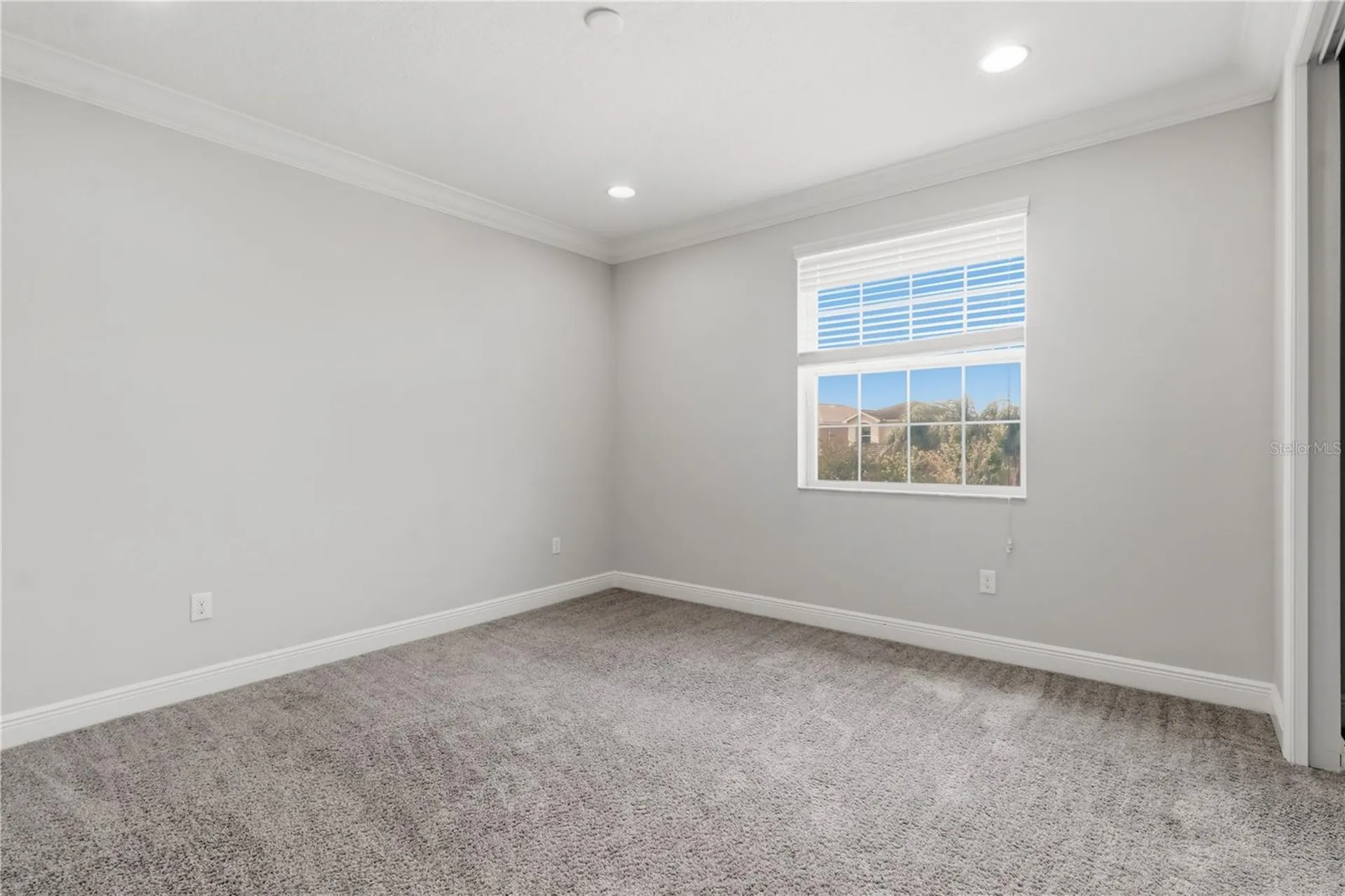 30271 Southern Wood Court Wesley Chapel FL 33543