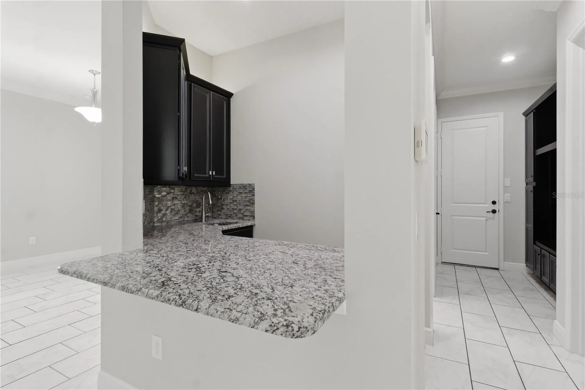 30271 Southern Wood Court Wesley Chapel FL 33543