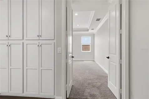 30271 Southern Wood Court Wesley Chapel FL 33543