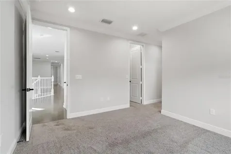 30271 Southern Wood Court Wesley Chapel FL 33543