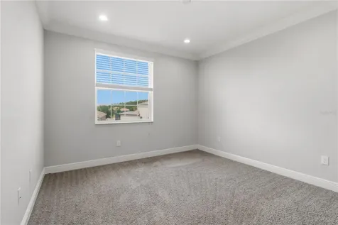 30271 Southern Wood Court Wesley Chapel FL 33543