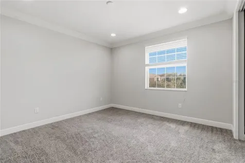 30271 Southern Wood Court Wesley Chapel FL 33543