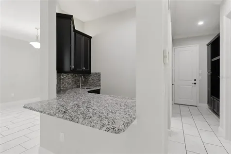 30271 Southern Wood Court Wesley Chapel FL 33543