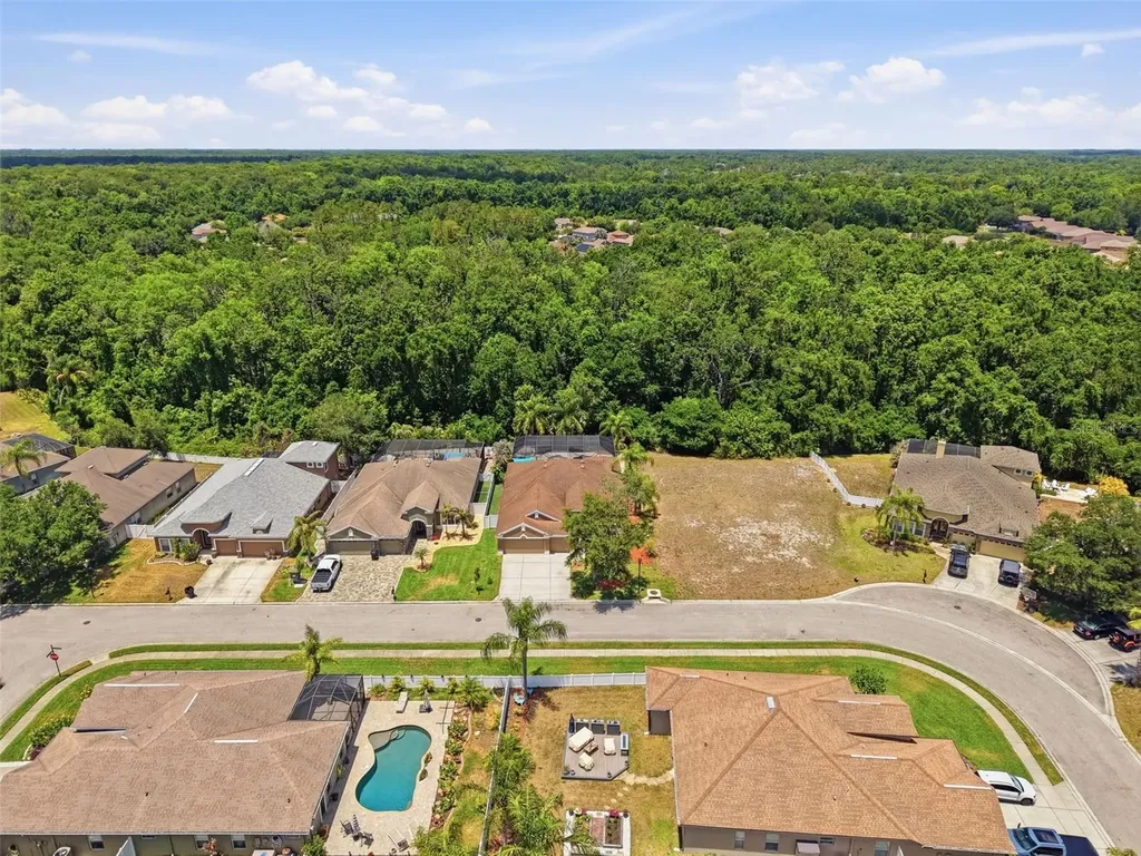 11143 Ragsdale Court New Port Richey FL 34654