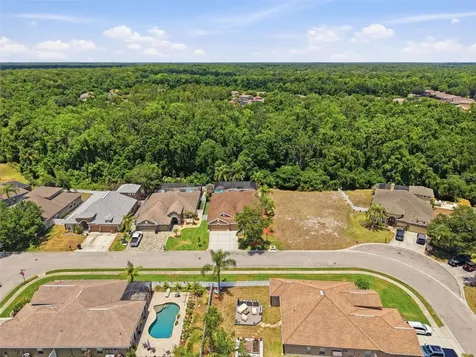 11143 Ragsdale Court New Port Richey FL 34654