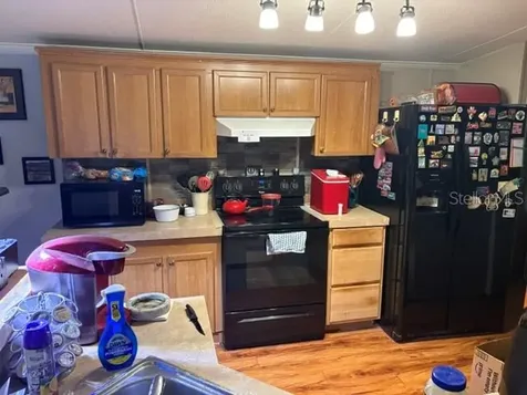 12119 Terra Ceia Avenue New Port Richey FL 34654