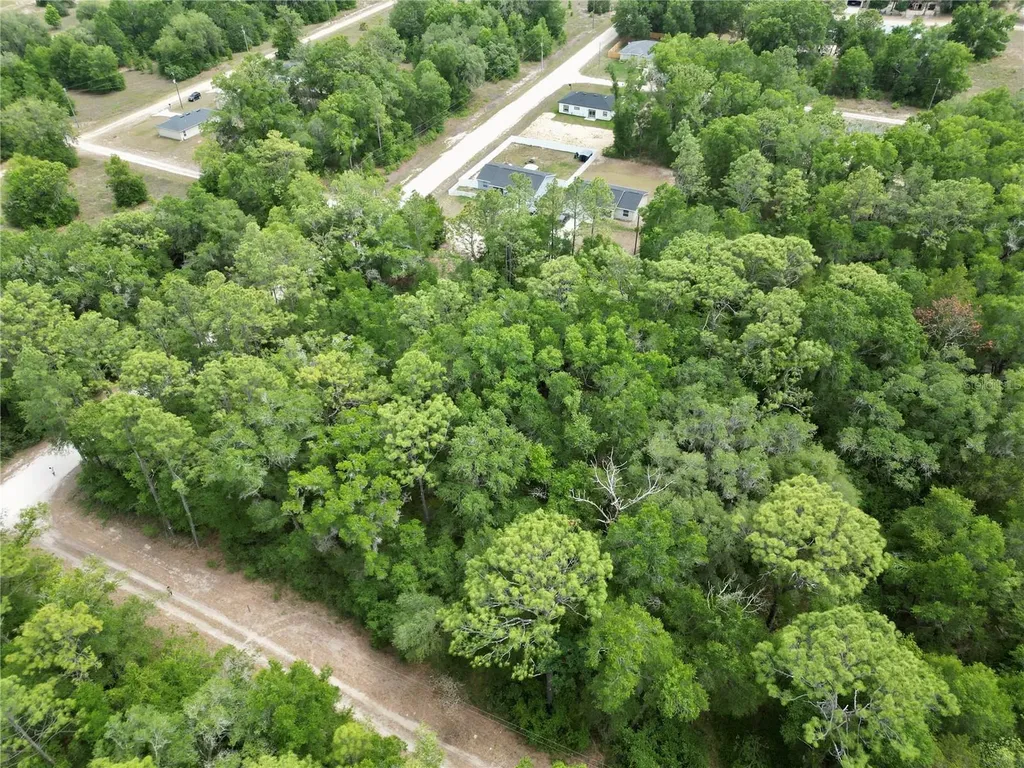 SW 31st Place Ocala FL 34481