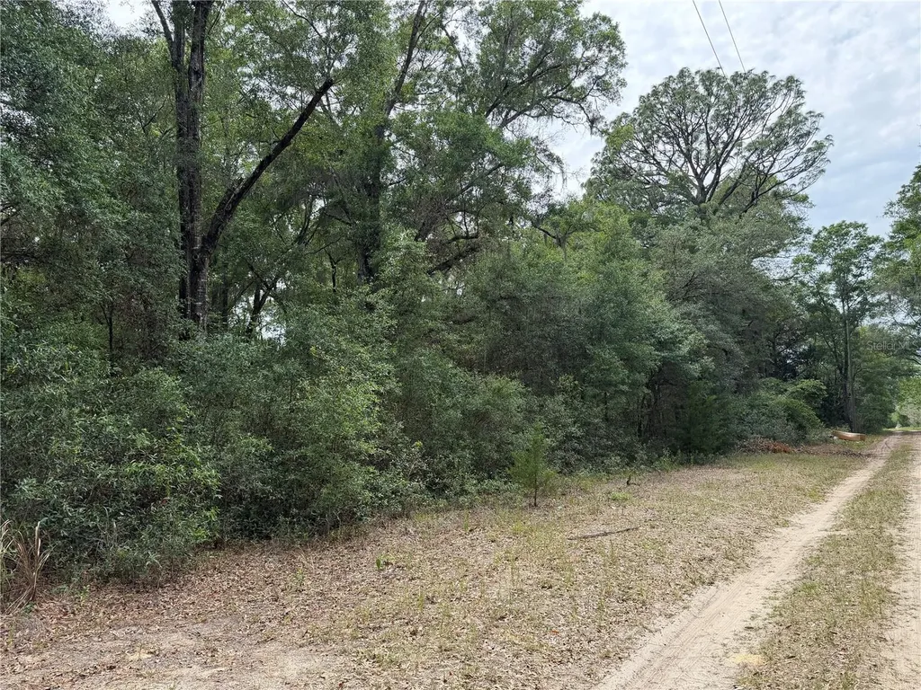 SW 31st Place Ocala FL 34481