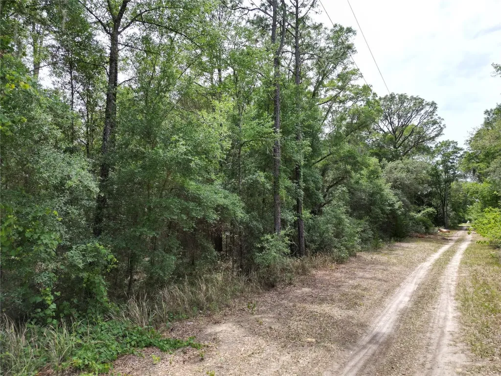 SW 31st Place Ocala FL 34481
