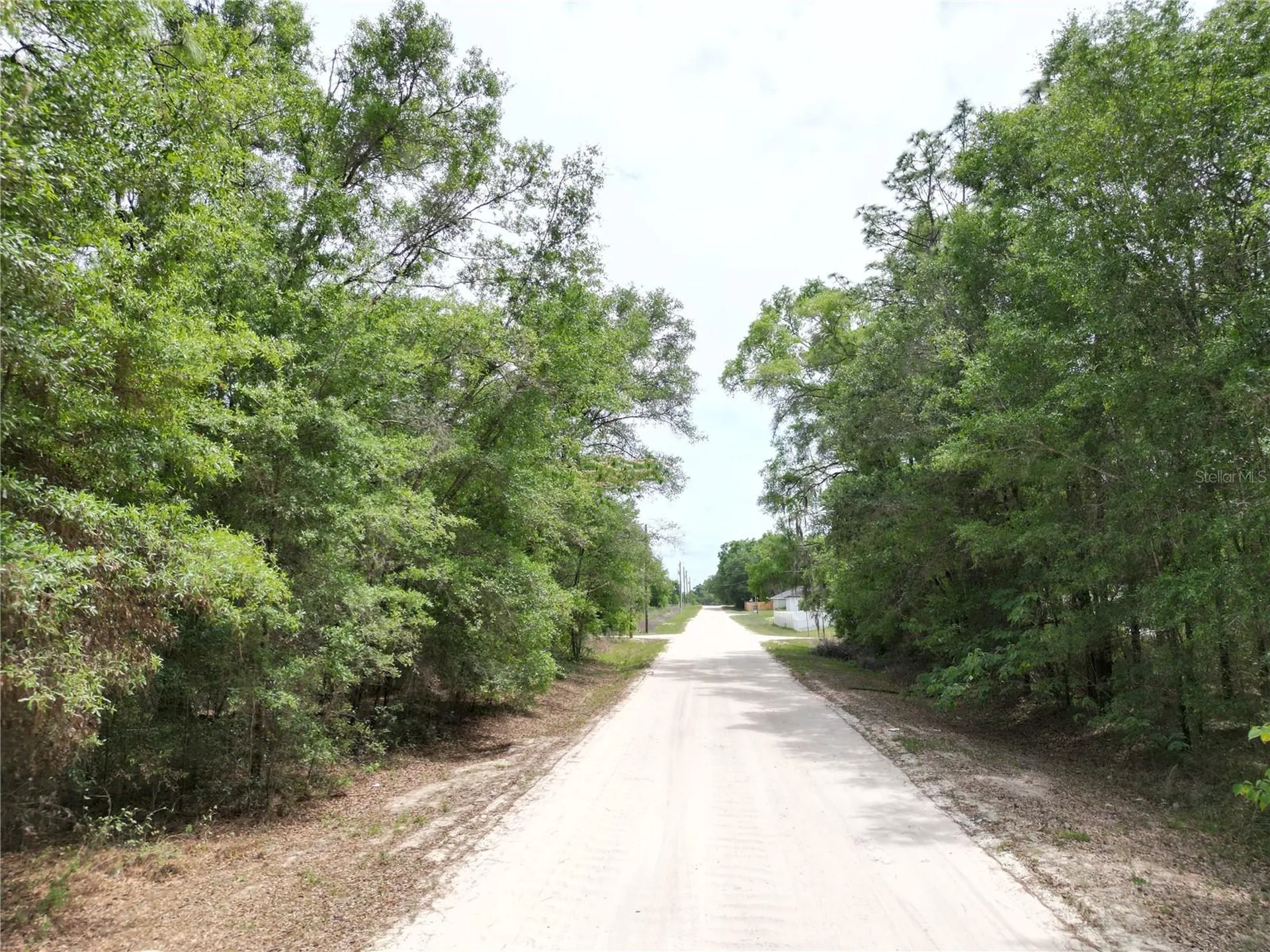 SW 31st Place Ocala FL 34481