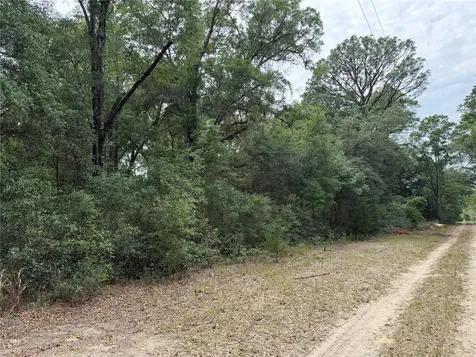 SW 31st Place Ocala FL 34481
