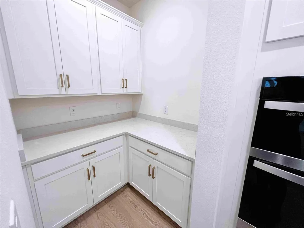 11965 Bracco Street Winter Garden FL 34787