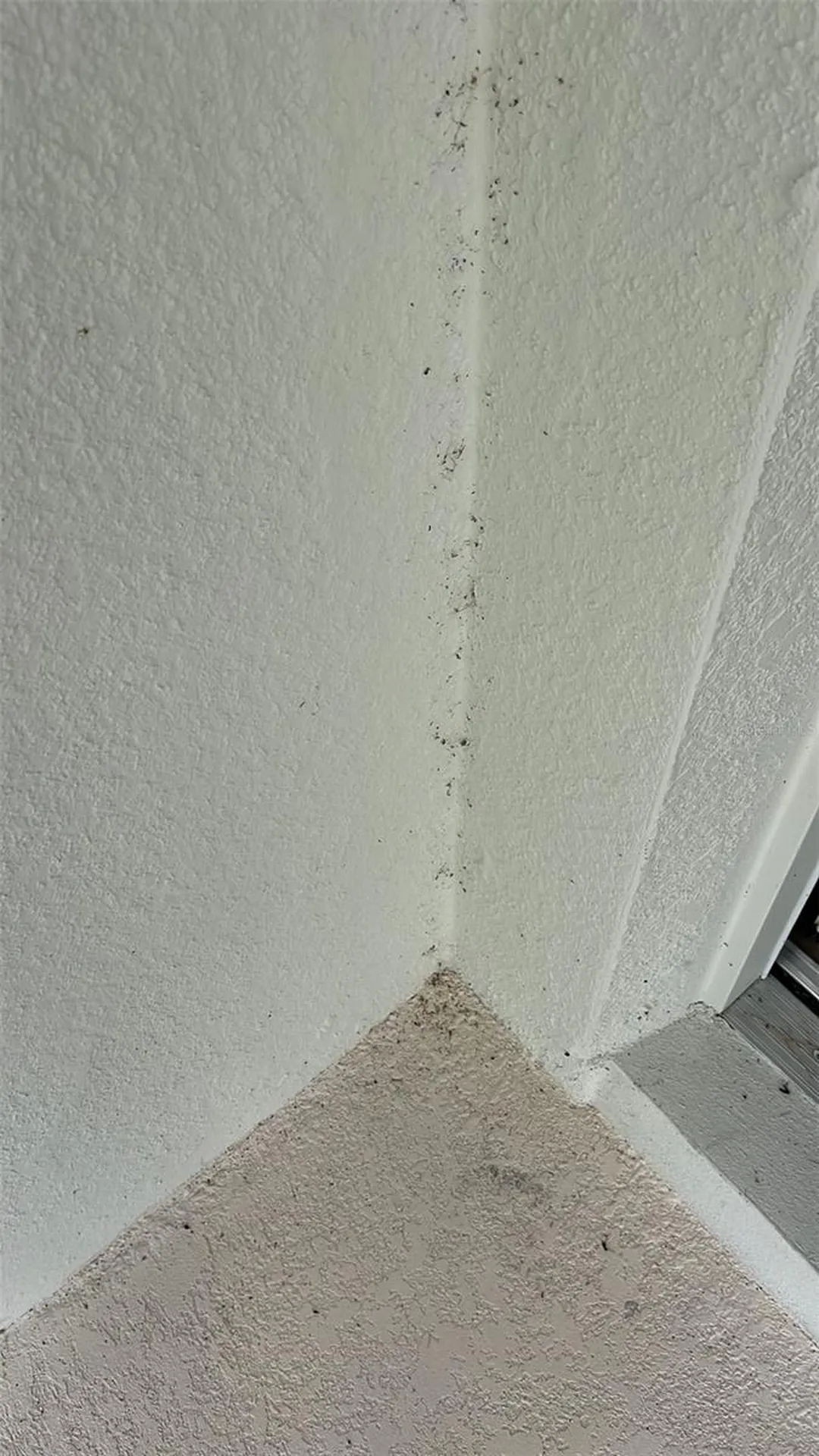 11965 Bracco Street Winter Garden FL 34787