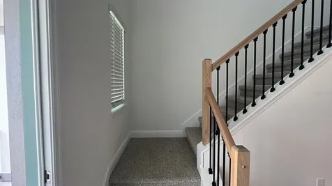 11965 Bracco Street Winter Garden FL 34787