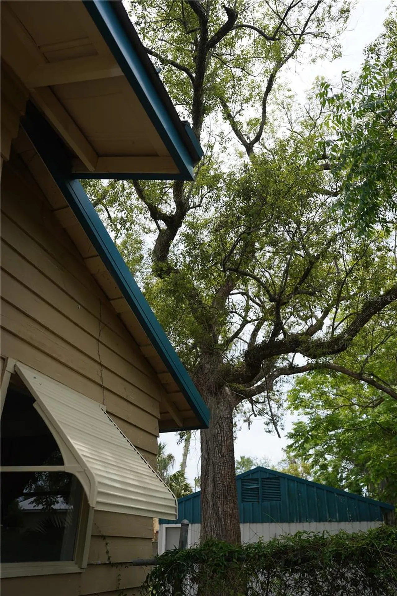 1004 Talton Avenue Deland FL 32720