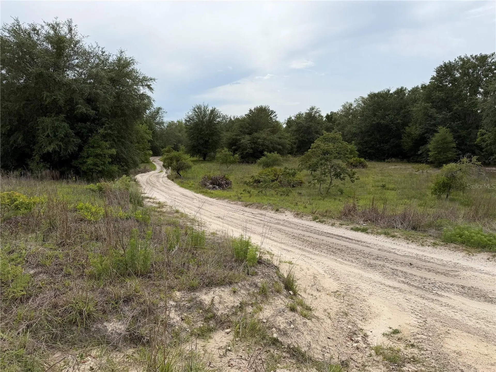 SE 53 Court Trenton FL 32693