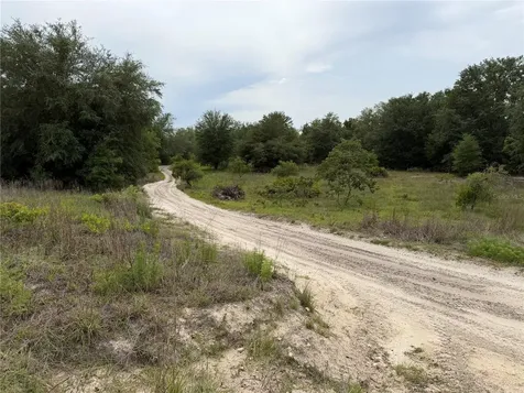 SE 53 Court Trenton FL 32693