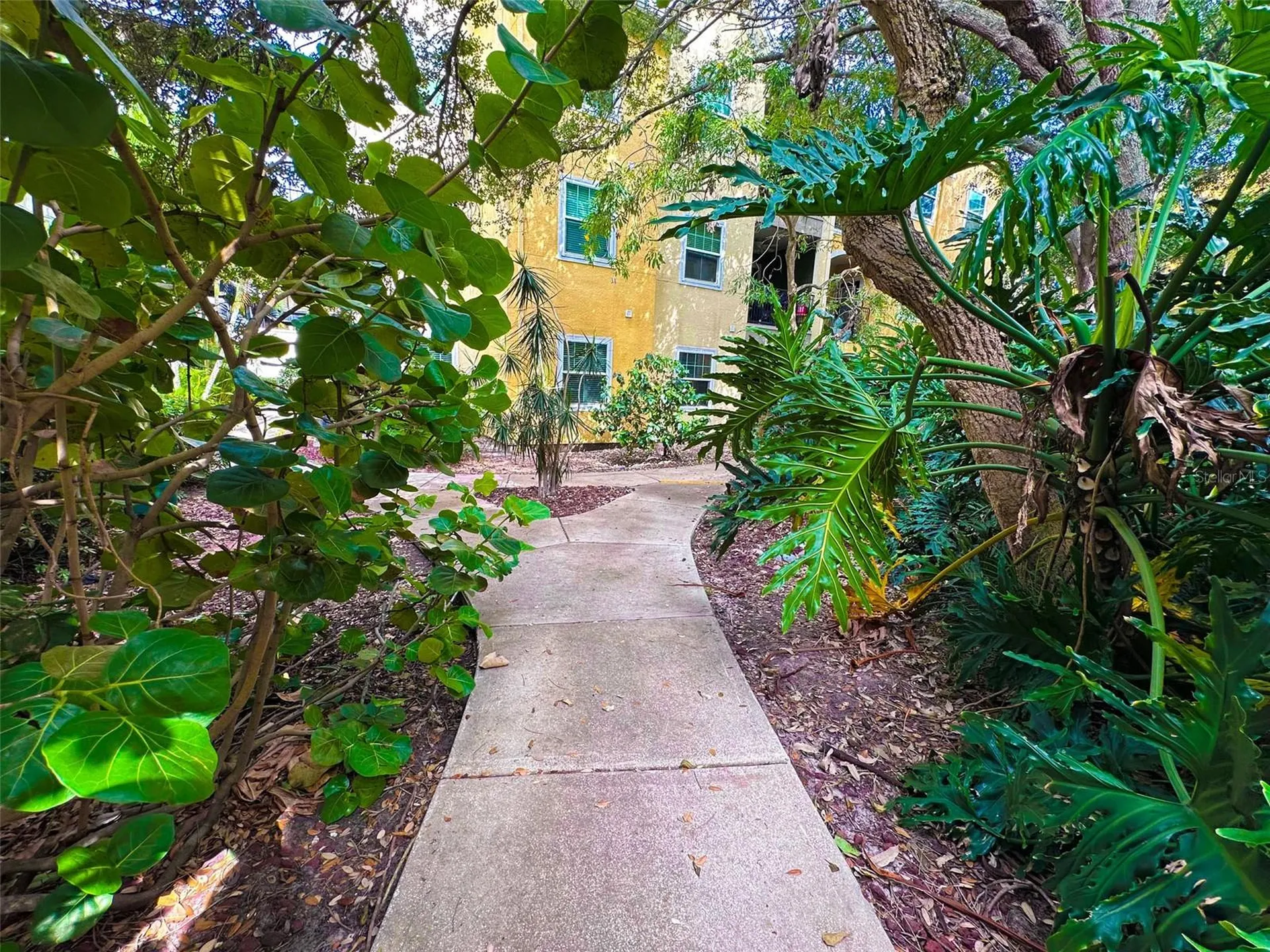 2010 E Palm Avenue Tampa FL 33605