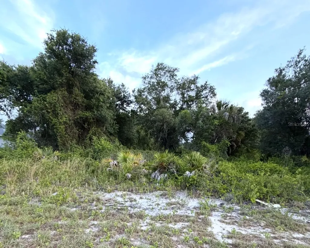 Mangrove Avenue North Port FL 34288