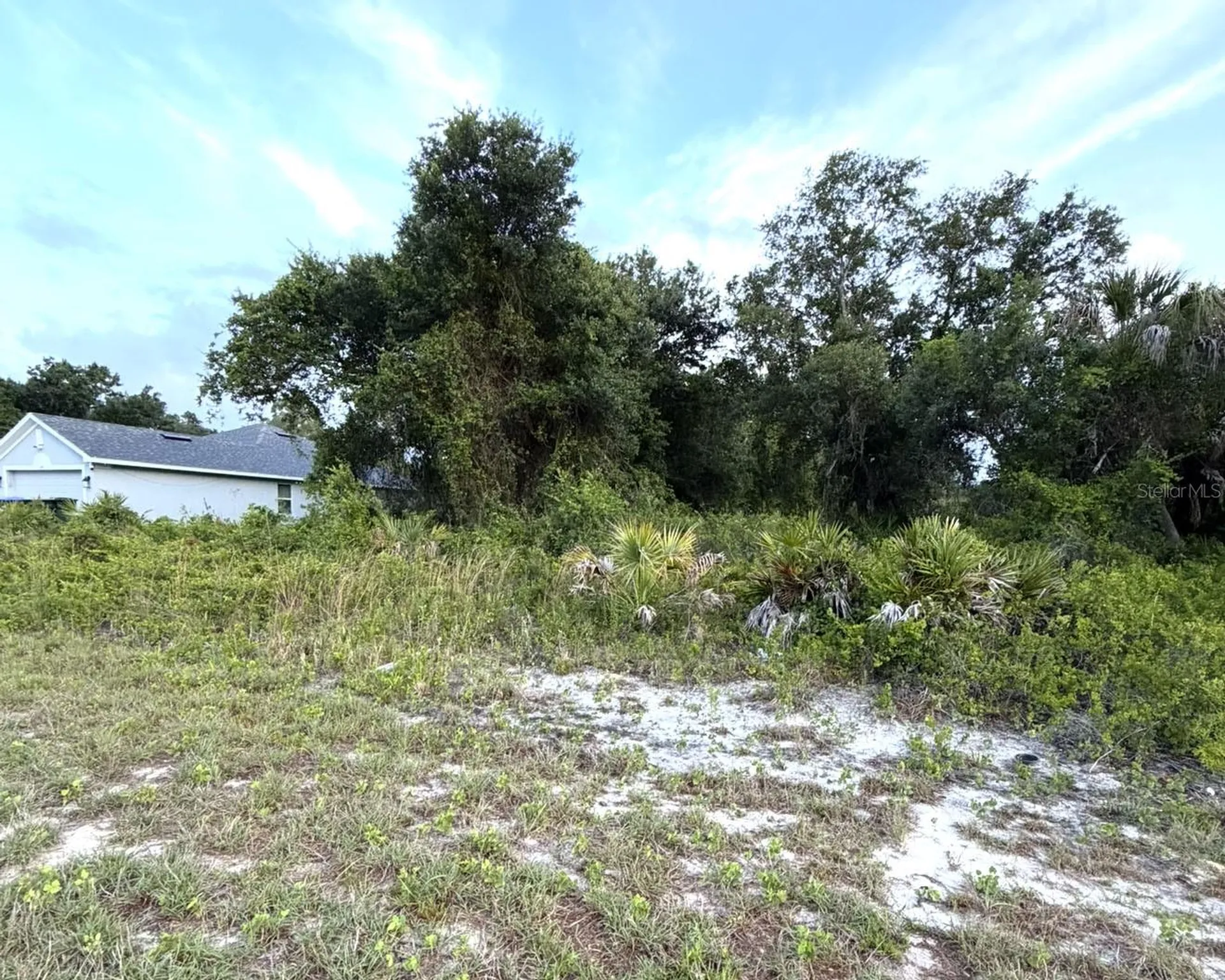 Mangrove Avenue North Port FL 34288