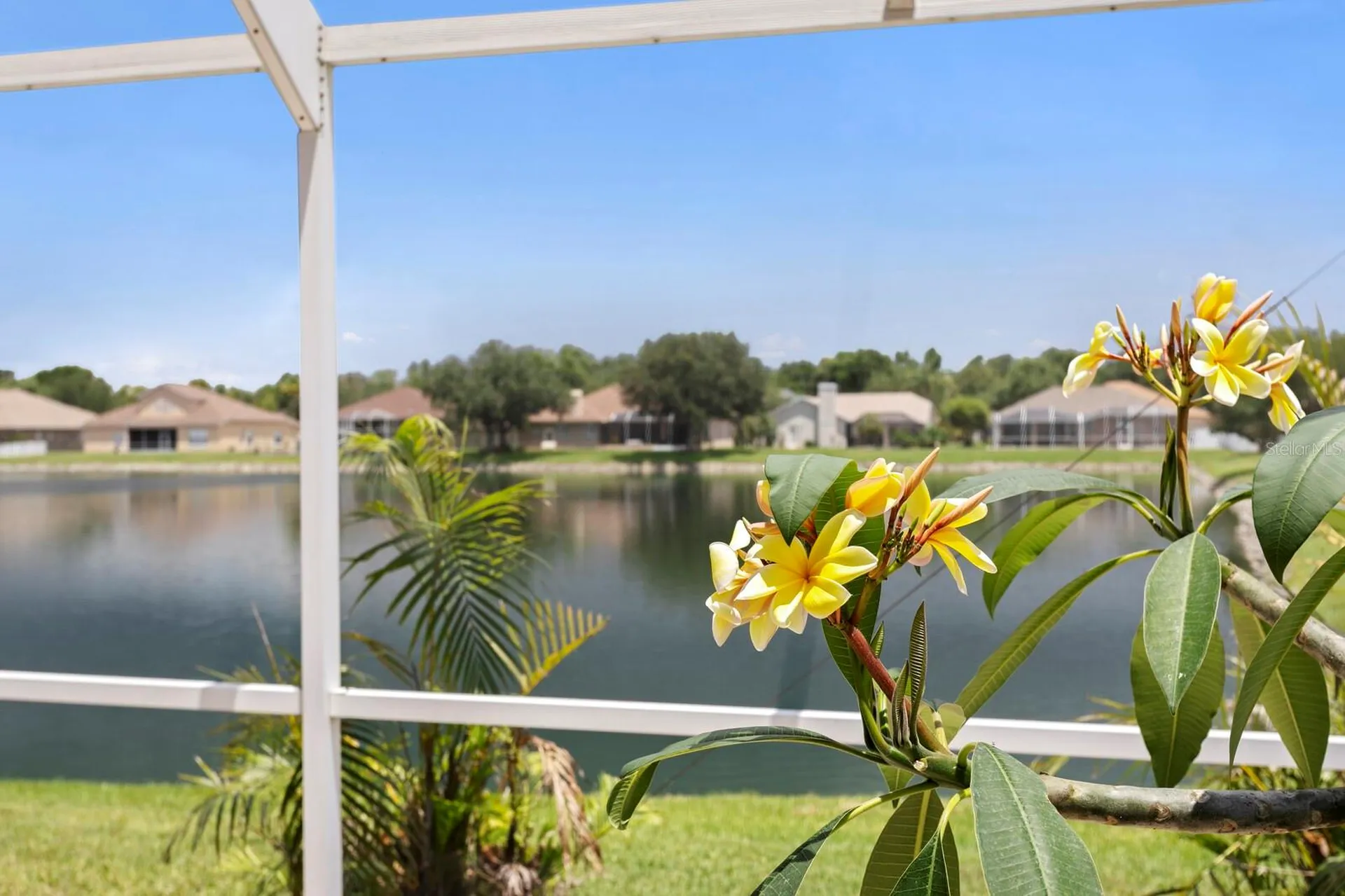 22953 Bay Cedar Drive Land O Lakes FL 34639