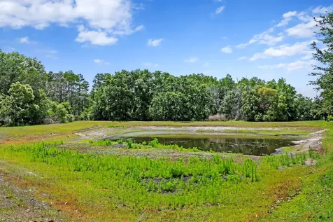 3122 Majestic View Drive Lutz FL 33558