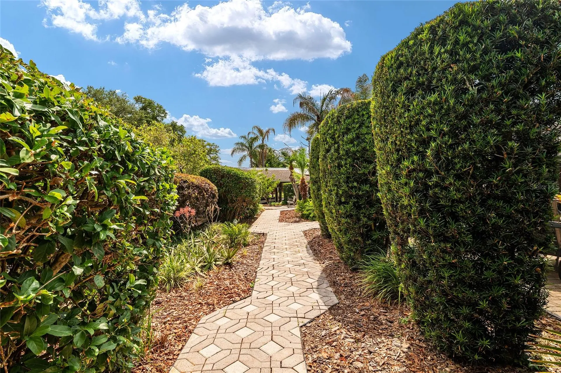 29 SE Ocale Way Summerfield FL 34491