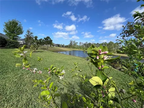 17988 Passionflower Circle Clermont FL 34714