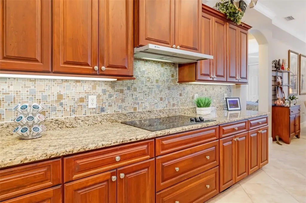 11427 Savannah Lakes Drive Parrish FL 34219