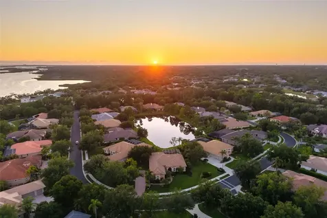 11427 Savannah Lakes Drive Parrish FL 34219
