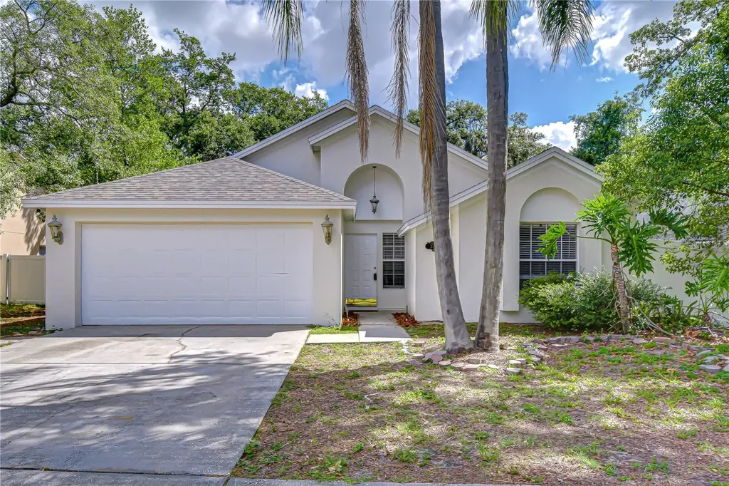2512 Gotham Way Valrico FL 33594